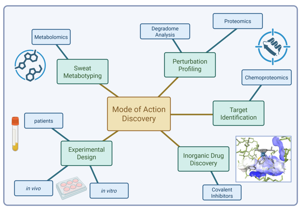 Mission Statement Overview