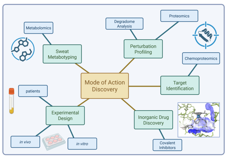 Mission Statement Overview